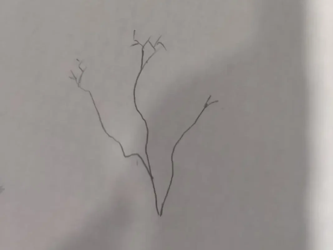 dessiner les branches d'un arbre étape 2